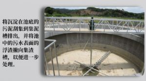 污水處理廠沉淀池刮吸泥機